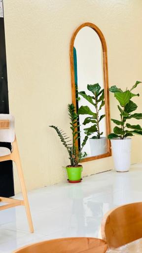 عکس کافه حلمو