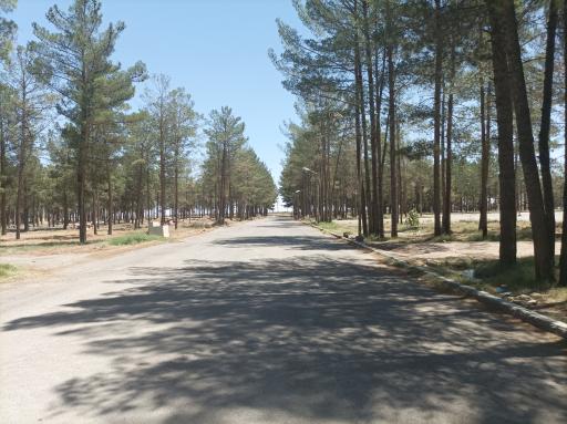 عکس پارک ملت