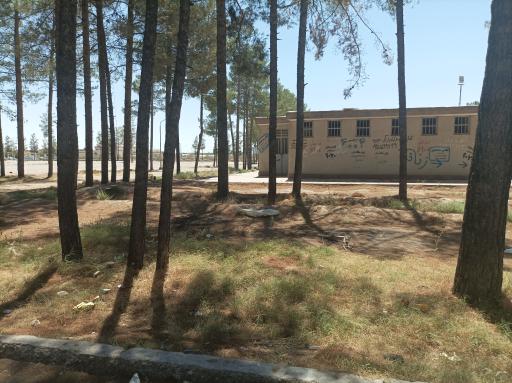 عکس پارک ملت