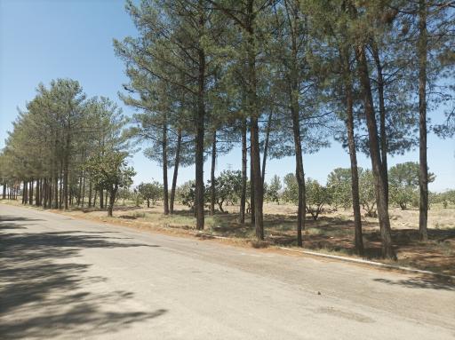 عکس پارک ملت