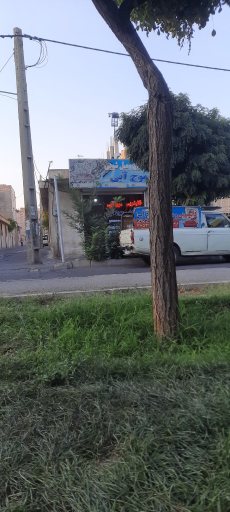 عکس قالیشویی