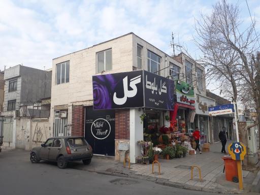 عکس سوپر آرش