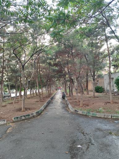 عکس پارک رضوان 
