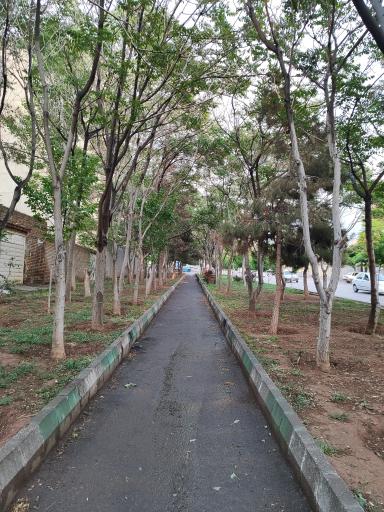 عکس پارک رضوان 