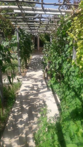 عکس اقامتگاه بوم گردی غلامرضا صفیان بلداجی