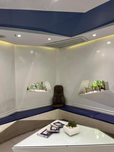 عکس دکتر محمدرضا جناب دندانپزشک ترمیمی و زیبایی