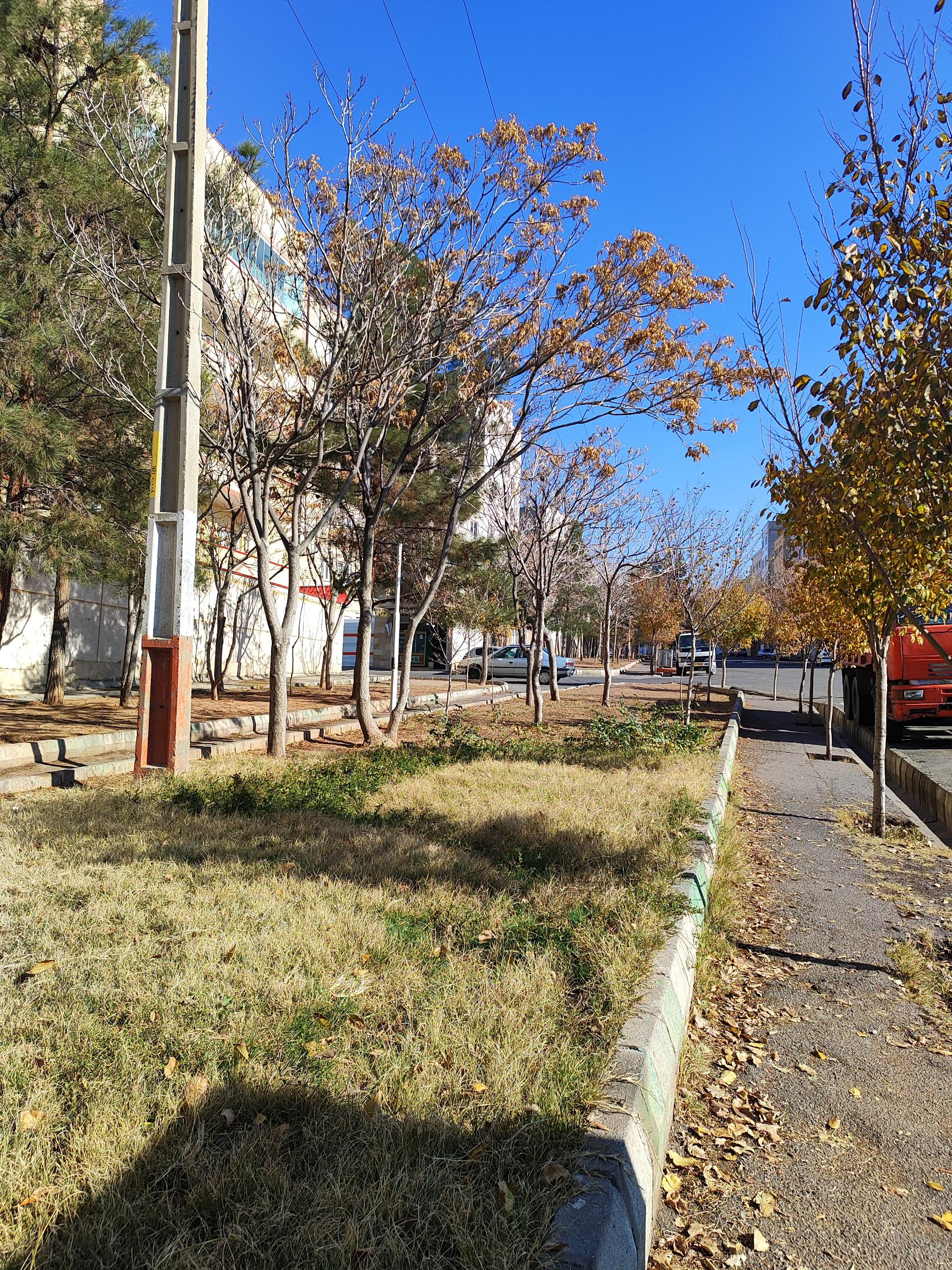 عکس پارک رضوان 