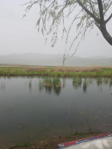 عکس پارک ساحلی زریبار