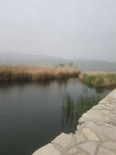 عکس پارک ساحلی زریبار