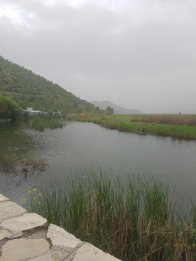 عکس پارک ساحلی زریبار