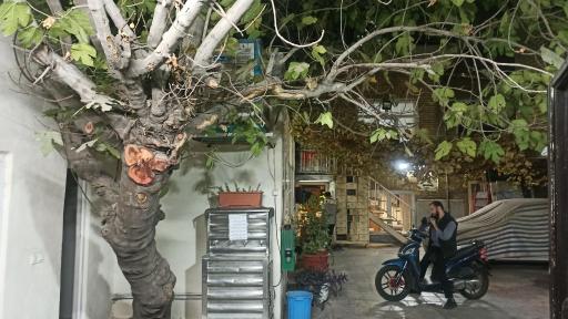 عکس مسجد امام حسن مجتبی (ع)