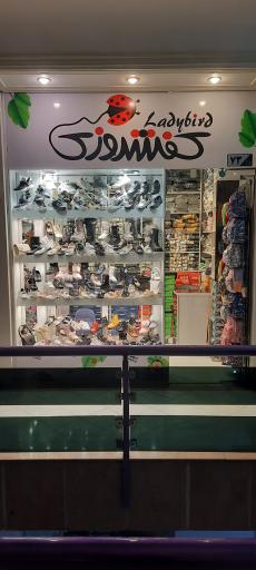 عکس کفش کفشدوزک