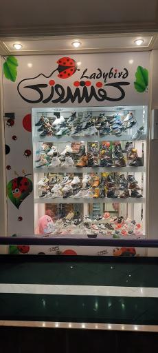 عکس کفش کفشدوزک