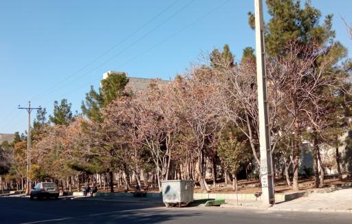 عکس پارک رضوان 