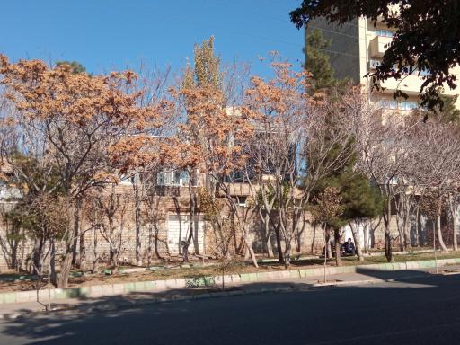 عکس پارک رضوان 