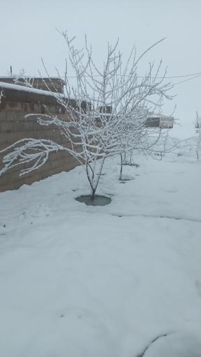 قره ماخر