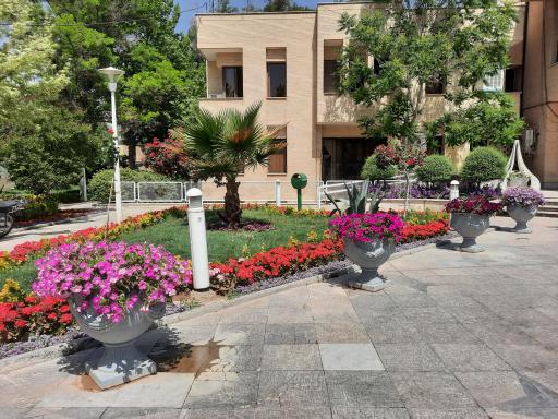 عکس گل آذین پلاس دنیای آبنما و فلاورباکس 