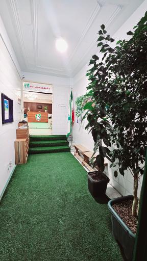 عکس کلینیک کاردرمانی و گفتاردرمانی بامداد