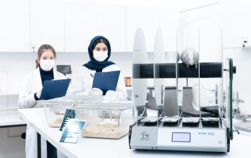 عکس مجتمع فوق تخصصی مغز و شناخت فردیت