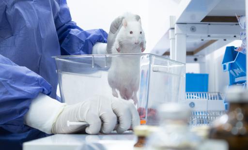 عکس مجتمع فوق تخصصی مغز و شناخت فردیت