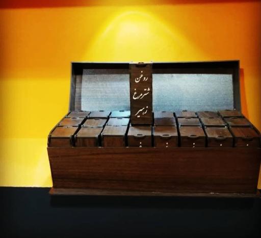 عکس شترمرغ زهیر