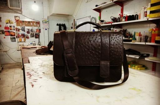 عکس شترمرغ زهیر