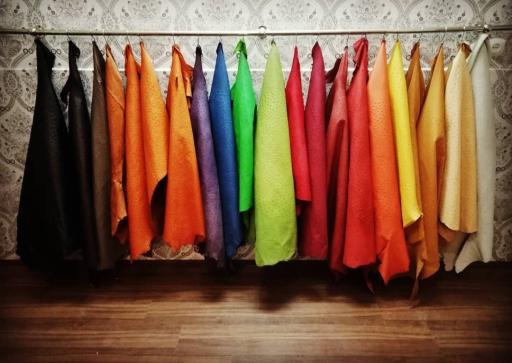 عکس شترمرغ زهیر