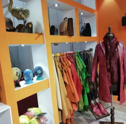 عکس شترمرغ زهیر