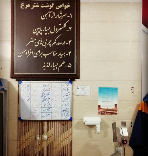 عکس شترمرغ زهیر