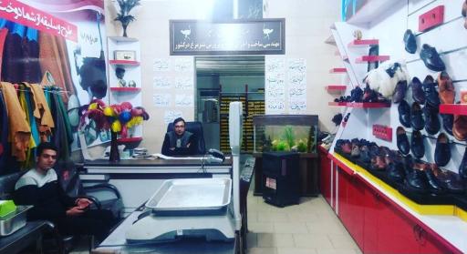 عکس شترمرغ زهیر