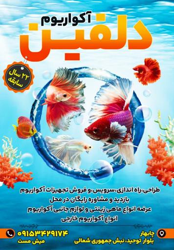 عکس آکواریوم دلفین 