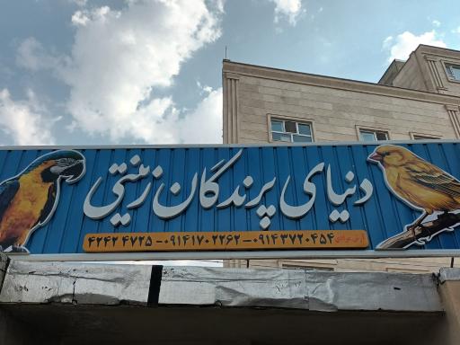 عکس دنیای پرندگان زینتی
