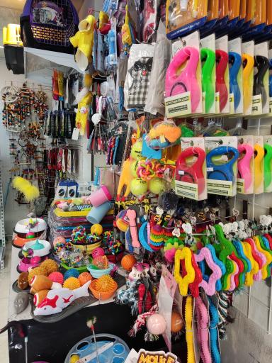 عکس فروشگاه دیلی پت شاپ