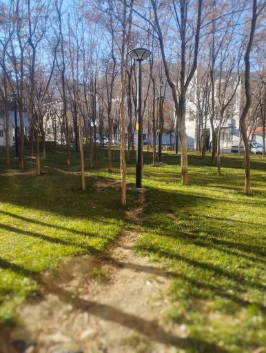 عکس بوستان گلستان