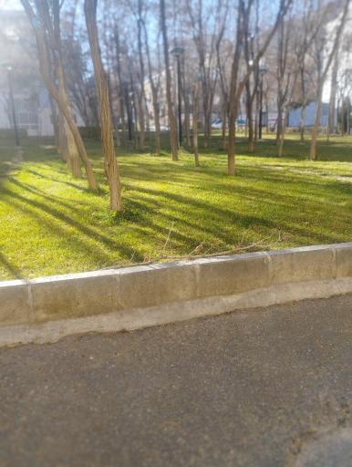 عکس بوستان گلستان