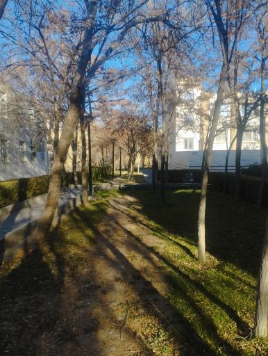 عکس بوستان گلستان