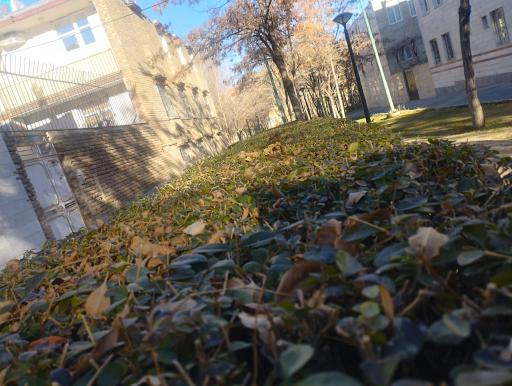 عکس بوستان گلستان