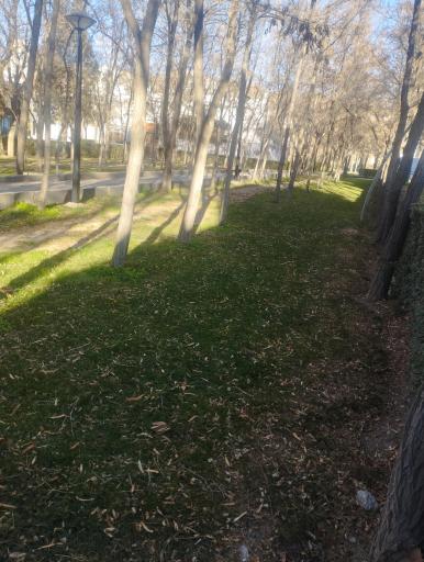 عکس بوستان گلستان