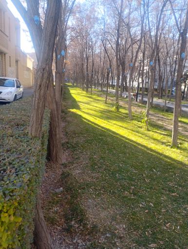 عکس بوستان گلستان