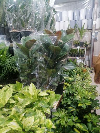 عکس بازار روز غفاری