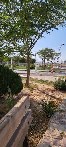 عکس پارک آموزش ترافیک مادر