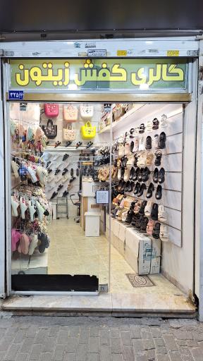 عکس گالری کفش زیتون 