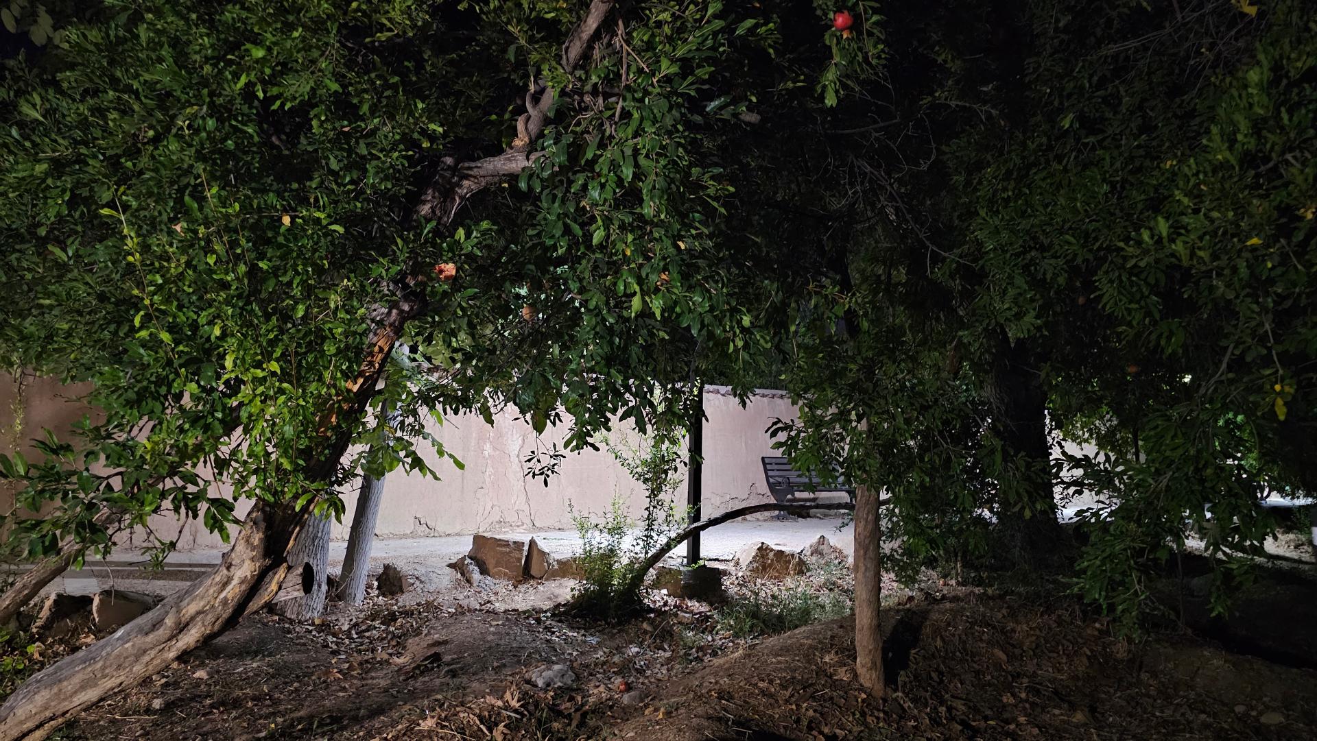 عکس پارک خانواده