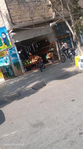 عکس میوه فروشی حشمتی