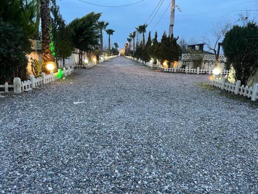 عکس زیباکنار