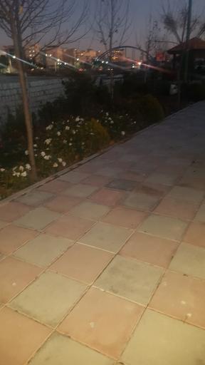 عکس پارک ساحلی شاد چای