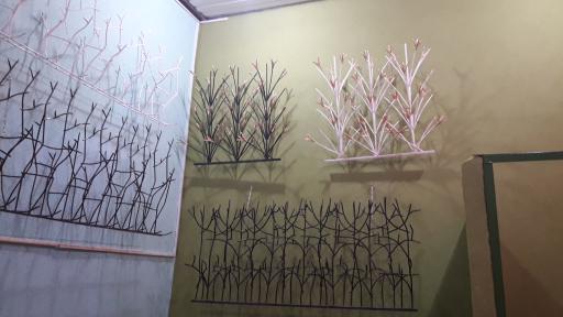 عکس حفاظ غرب