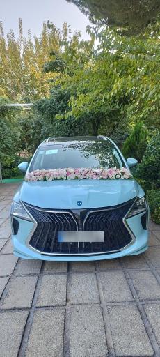 عکس باغ عمارت شیخ بهایی