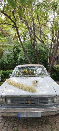 عکس باغ عمارت شیخ بهایی