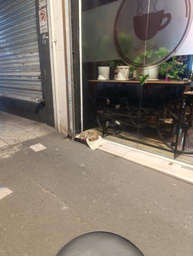 عکس کافه نیوتو